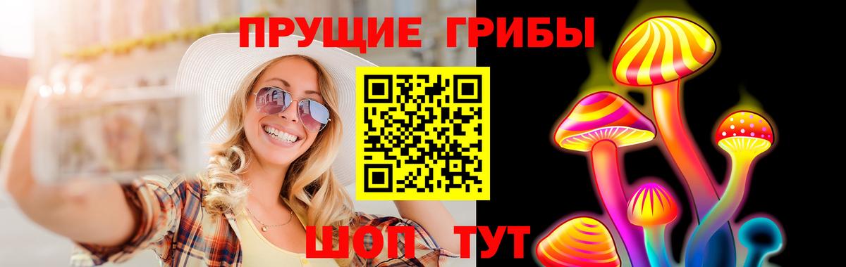 Псилоцибиновые грибы Psilocybe  Псилоцибиновые грибы мухоморы  Ковров  Вход с VPN 